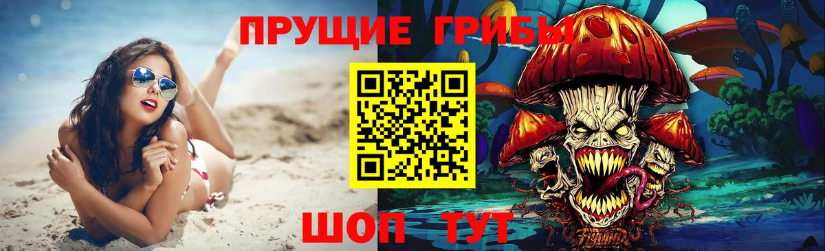 сколько стоит  Псилоцибиновые грибы Cubensis  Вход с VPN  Находка  Галлюциногенные грибы Magic Shrooms 